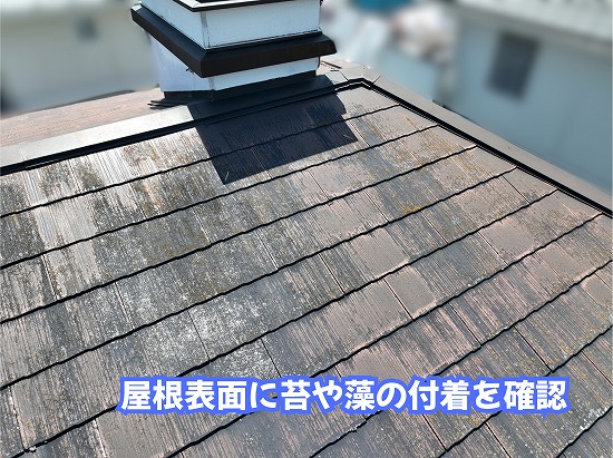 美濃加茂市の住宅のスレート屋根に付着した苔や藻の様子