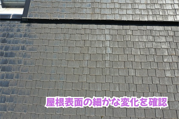 美濃加茂市のスレート屋根表面に見られる点状の付着物