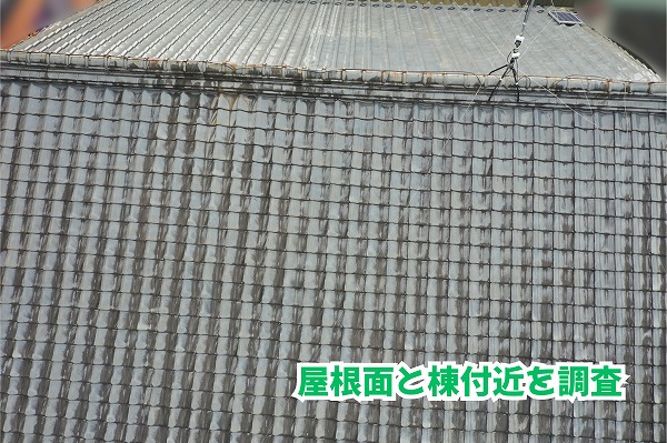 美濃加茂市の瓦屋根全体と棟付近に見られる瓦の色むらや汚れ