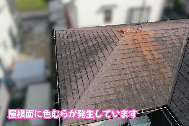 美濃加茂市のスレート屋根に見られる表面の色むらや変色
