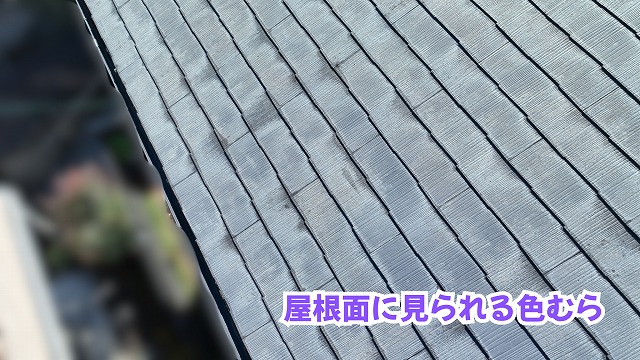 美濃加茂市の住宅で確認したスレート屋根の色むら