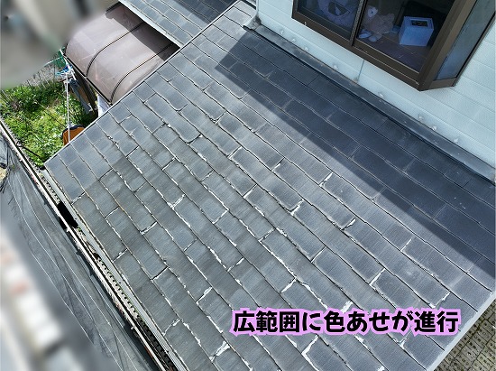 美濃加茂市の住宅で確認したスレート屋根の広範囲な色あせと塗膜劣化