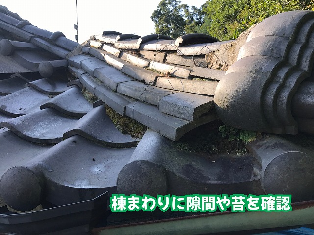 美濃加茂市の瓦屋根で棟まわりの隙間や苔などの劣化を確認