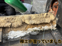 棟土