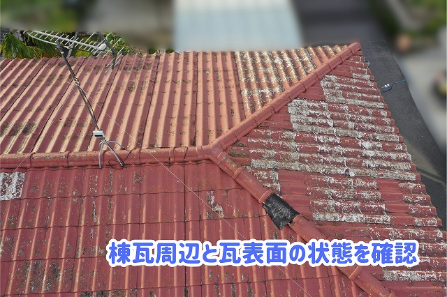 美濃加茂市の瓦屋根の棟瓦と周辺の瓦。瓦表面に白っぽい付着物が見られる様子