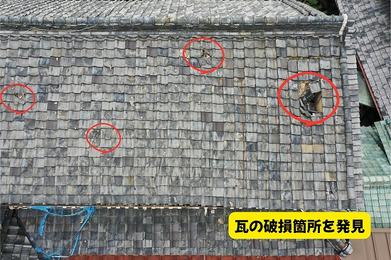 美濃加茂市の瓦屋根で確認された瓦の欠けや破損箇所