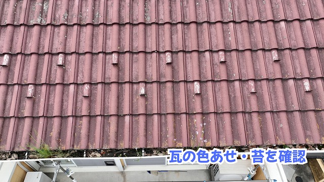 美濃加茂市の瓦屋根で苔や色あせ、軒先の草を発見！雨樋の状態も確認してメンテナンスをご提案