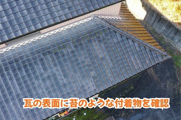 美濃加茂市の瓦屋根に見られる苔のような付着物
