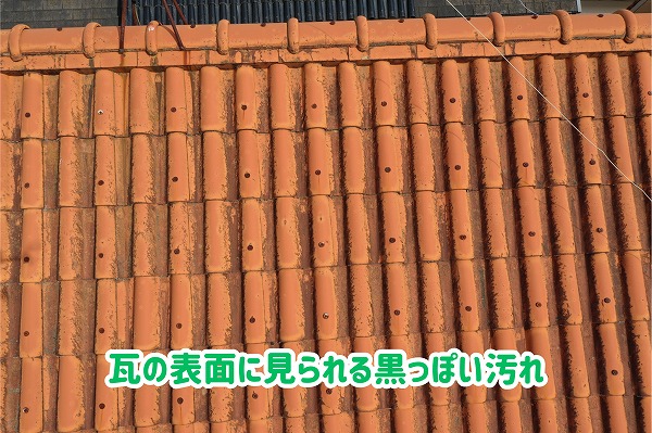 美濃加茂市の瓦屋根で確認した瓦表面の黒っぽい汚れや付着物