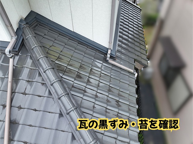 美濃加茂市の瓦屋根に見られる黒ずみや苔の付着