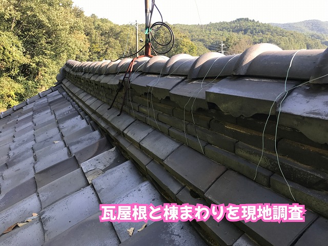 美濃加茂市の瓦屋根を徹底チェック！ 棟まわりの隙間や苔から見る屋根の劣化とは？