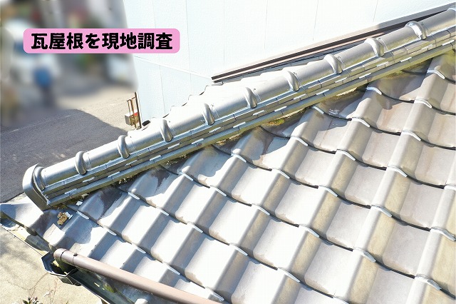 美濃加茂市で瓦屋根のひび割れ・欠け・コケを確認！瓦の差し替え・棟まわりの補修をご提案
