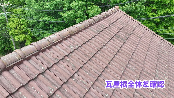 美濃加茂市の瓦屋根全体と棟の状態を確認した現地調査写真