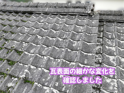 美濃加茂市の瓦屋根で確認した瓦表面の汚れや劣化の状態