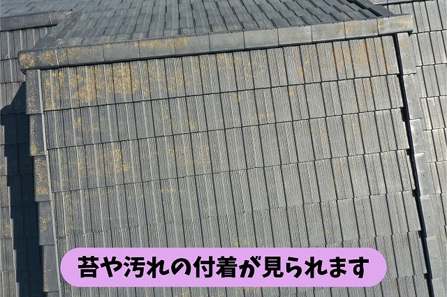 春日井市高座台の住宅の屋根に付着した苔や汚れ