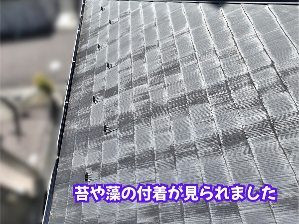 美濃加茂市のスレート屋根に付着した苔や藻の様子