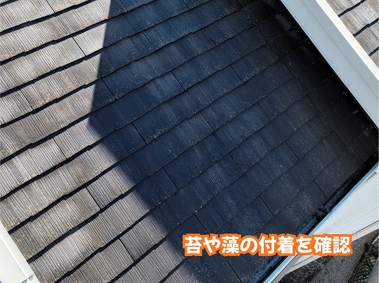 美濃加茂市のスレート屋根表面に見られる苔や藻の付着