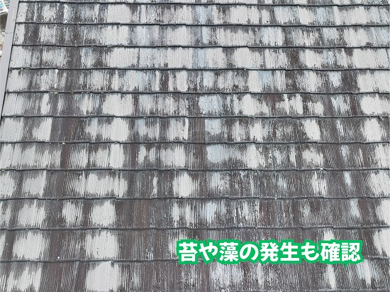 美濃加茂市のスレート屋根に発生した苔や藻の状態
