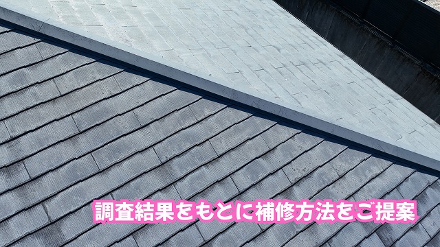 美濃加茂市で現地調査を行ったスレート屋根全体と板金部分
