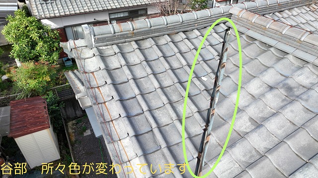 可児市愛岐ケ丘で雨漏り調査。谷樋の穴が原因？大棟や波板、屋根全体の劣化も発覚