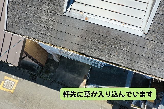 美濃加茂市のスレート屋根の軒先に入り込んだ草や汚れ