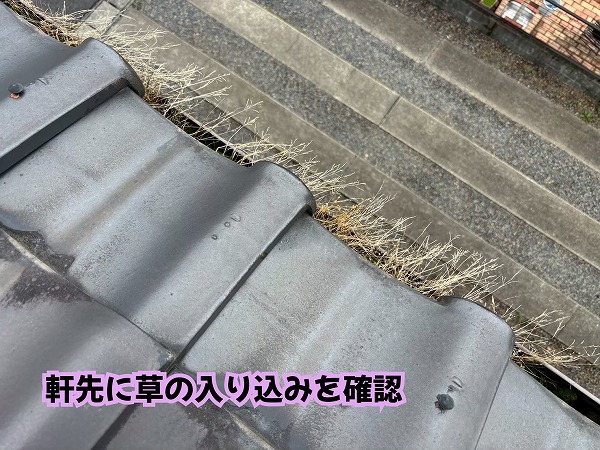美濃加茂市の瓦屋根の軒先に草が入り込んでいる状態