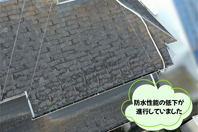 美濃加茂市のスレート屋根で色褪せやコケの発生が確認された状況