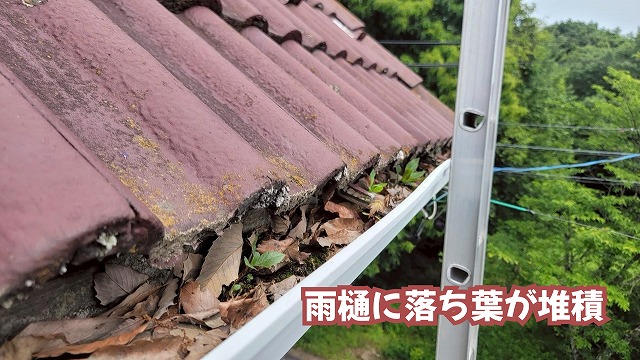 美濃加茂市の瓦屋根の軒先と雨樋に落ち葉や土が堆積している状態