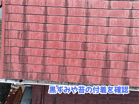美濃加茂市のスレート屋根に見られる黒ずみや苔・藻の付着