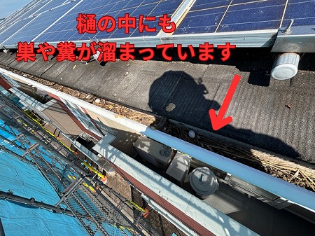 可児市にて樋内部の様子