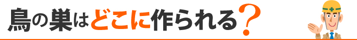 鳥の巣はどこに作られる？